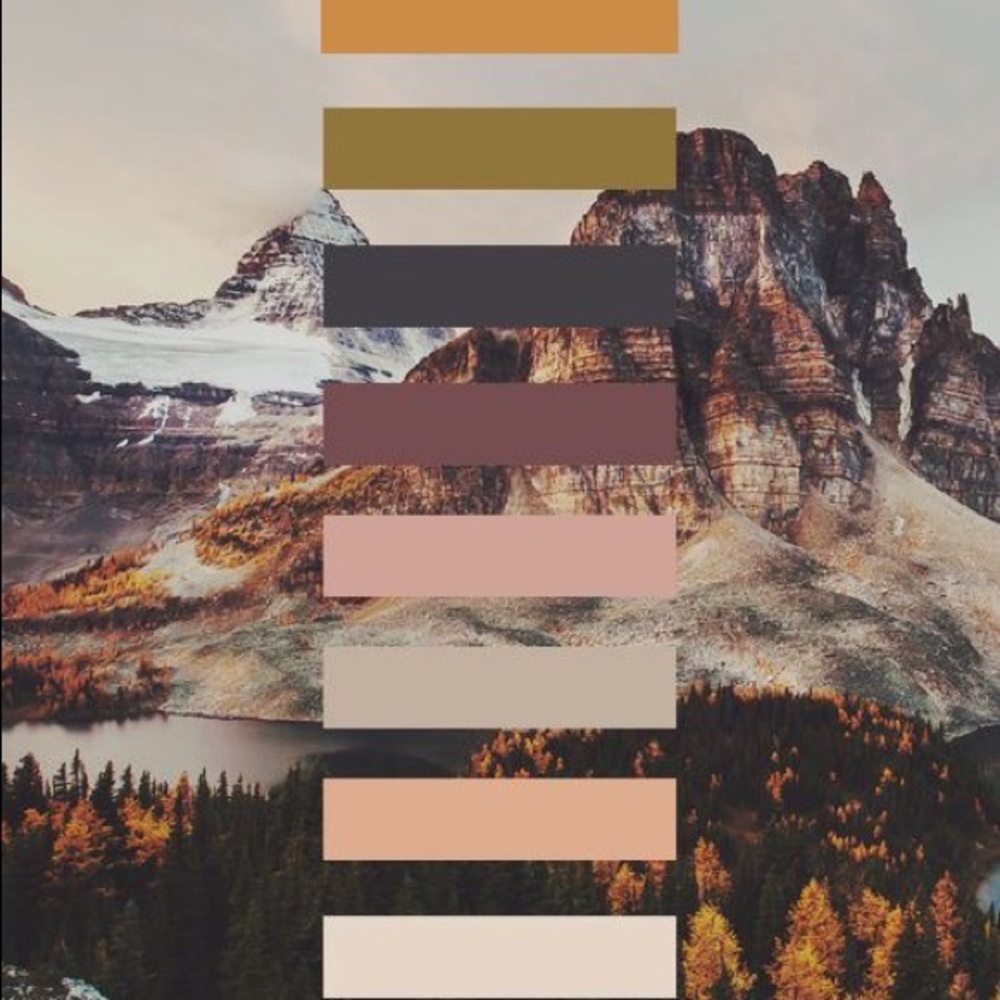 a t h l e t i c
